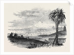 City of Tunis by Anonymous