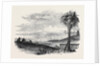 City of Tunis by Anonymous