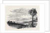 City of Tunis by Anonymous