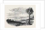 City of Tunis by Anonymous