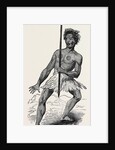 New Zealand War Dance. by Anonymous