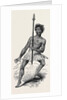 New Zealand War Dance. by Anonymous