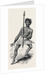 New Zealand War Dance. by Anonymous