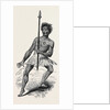 New Zealand War Dance. by Anonymous