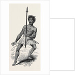 New Zealand War Dance. by Anonymous