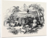 New Zealand Dinner by Anonymous