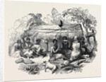 New Zealand Dinner by Anonymous