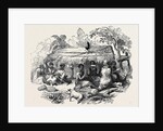 New Zealand Dinner by Anonymous