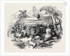 New Zealand Dinner by Anonymous