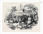 New Zealand Dinner by Anonymous