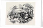 New Zealand Dinner by Anonymous