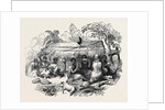 New Zealand Dinner by Anonymous