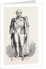Statue of Sir Charles Metcalfe by Anonymous