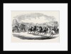 Northamtonshire Grand Military Steeple Chase, the Start by Anonymous