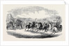 Northamtonshire Grand Military Steeple Chase, the Start by Anonymous