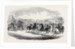 Northamtonshire Grand Military Steeple Chase, the Start by Anonymous