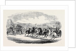 Northamtonshire Grand Military Steeple Chase, the Start by Anonymous