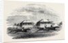 Croxton Park Races, the Race by Anonymous