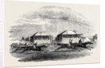 Croxton Park Races, the Race by Anonymous