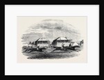 Croxton Park Races, the Race by Anonymous