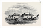Croxton Park Races, the Race by Anonymous