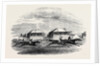 Croxton Park Races, the Race by Anonymous