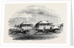Croxton Park Races, the Race by Anonymous