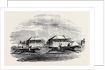 Croxton Park Races, the Race by Anonymous
