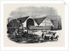 The Launch of the Boscawen, at Woolwich by Anonymous