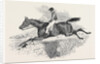 Lottery, the Celebrated Steeple Chase Winner. by Anonymous