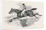 Lottery, the Celebrated Steeple Chase Winner. by Anonymous