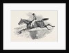 Lottery, the Celebrated Steeple Chase Winner. by Anonymous