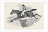 Lottery, the Celebrated Steeple Chase Winner. by Anonymous