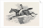 Lottery, the Celebrated Steeple Chase Winner. by Anonymous