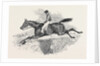 Lottery, the Celebrated Steeple Chase Winner. by Anonymous