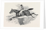 Lottery, the Celebrated Steeple Chase Winner. by Anonymous