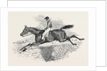 Lottery, the Celebrated Steeple Chase Winner. by Anonymous