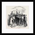 Sketch from the Windsor Steeple Chase. by Anonymous