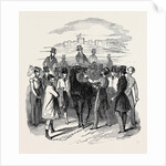 Sketch from the Windsor Steeple Chase. by Anonymous