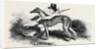 Coursing, Greyhounds. by Anonymous