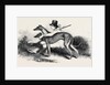 Coursing, Greyhounds. by Anonymous