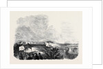 Meeting of Pitmen, on Pittington Hill. by Anonymous