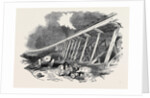 Frame-Work of the Viaduct, the South-Eastern Railway by Anonymous
