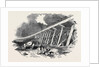 Frame-Work of the Viaduct, the South-Eastern Railway by Anonymous