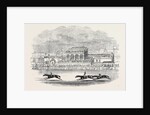 Chester Races, Red Deer Winning the Chester Cup, from a Sketch Made on the Spot by Anonymous