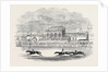 Chester Races, Red Deer Winning the Chester Cup, from a Sketch Made on the Spot by Anonymous