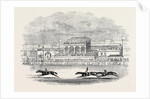Chester Races, Red Deer Winning the Chester Cup, from a Sketch Made on the Spot by Anonymous