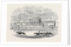 Chester Races, Red Deer Winning the Chester Cup, from a Sketch Made on the Spot by Anonymous