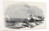 Wreck of the Waterman Steamer, Off Hastings by Anonymous