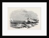 Wreck of the Waterman Steamer, Off Hastings by Anonymous